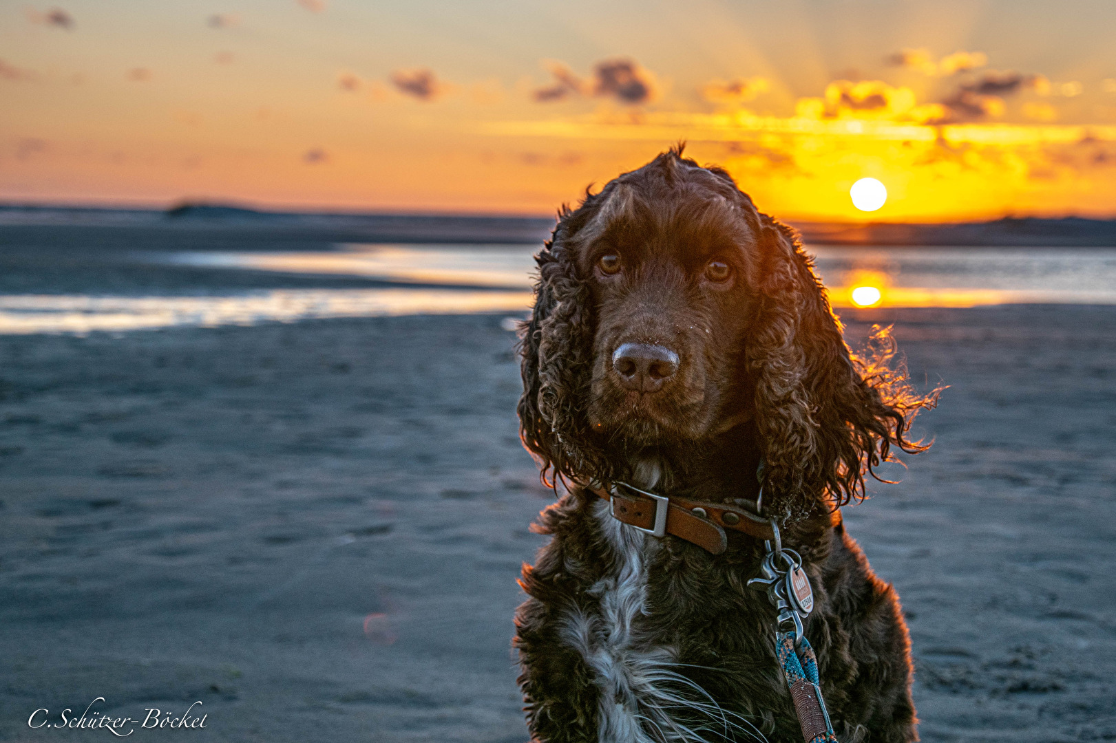 Goofy im Sonnenuntergang