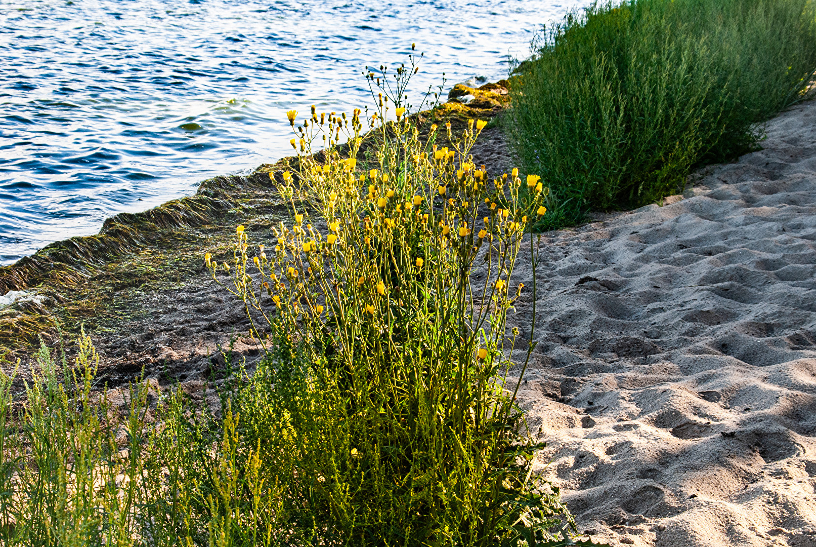 Strand & Dünen