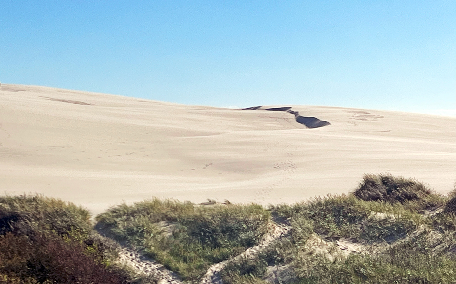 Sanddünen in Dänemark 2