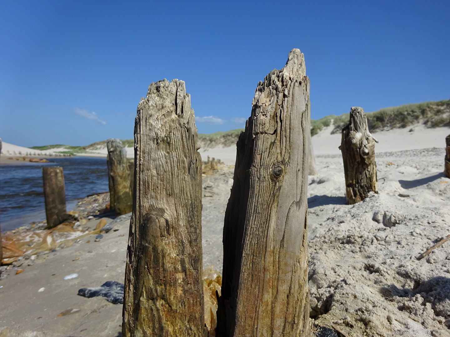 Dänemak Henne Strand 2018