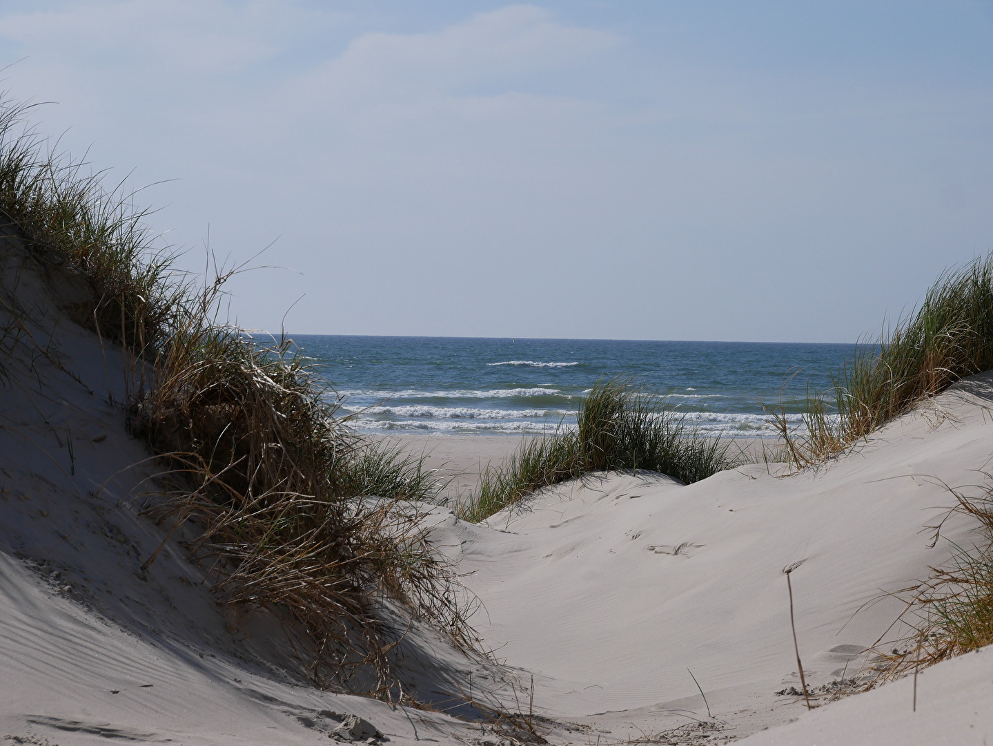 Henne Strand 2019