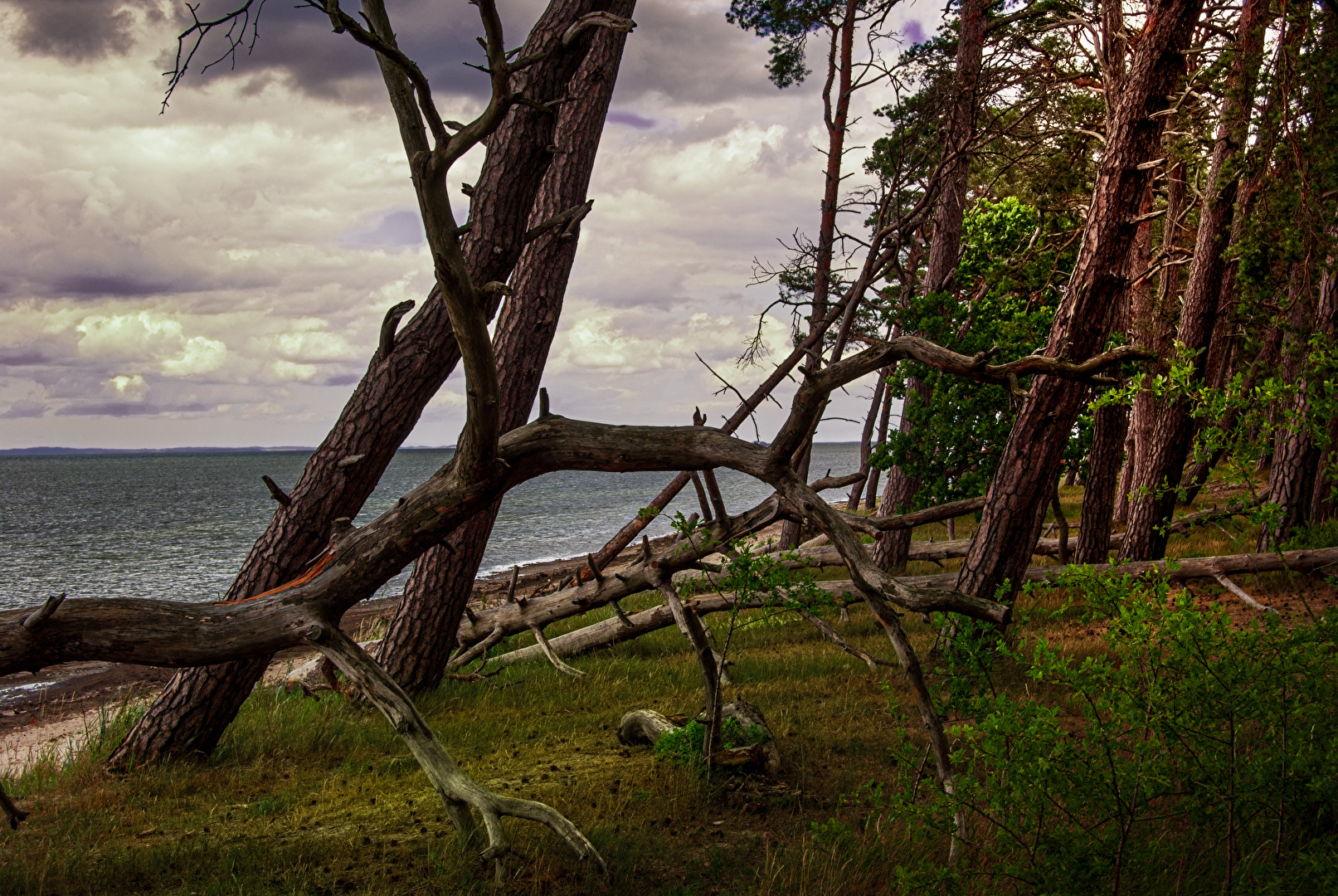 Strand & Dünen