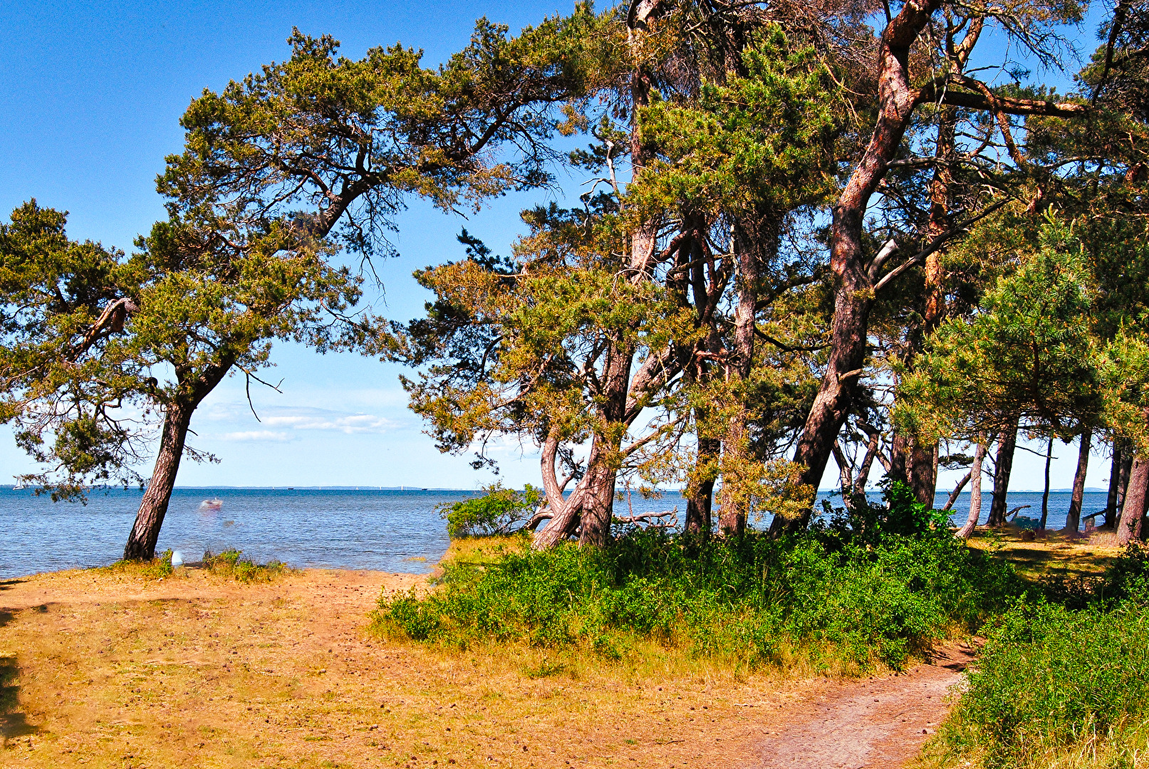 Wanderweg in Ludwigsburg am Greifswalder Boddem