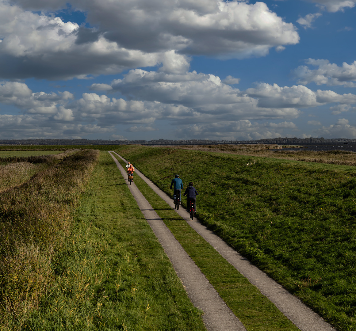 Fahrradtour durch die Boddenlandschaft in der Umgebung von Zingst