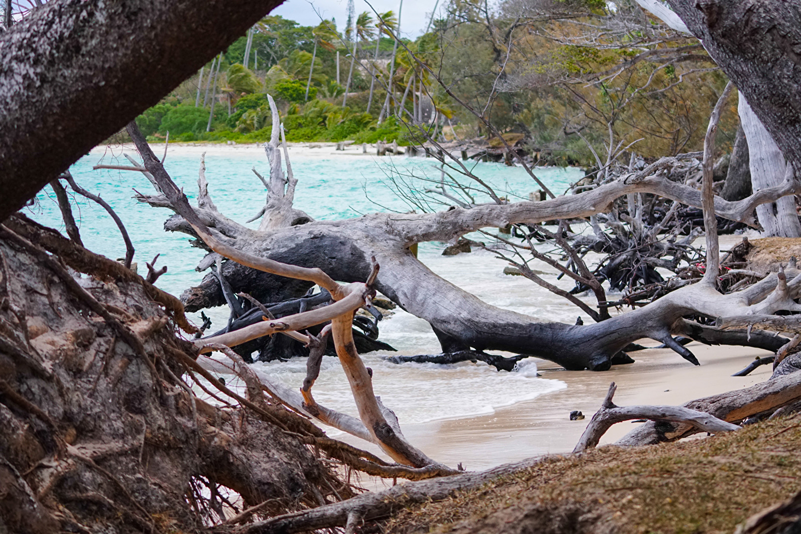 Ile des Pins Trauminsel im türkisblauen Meer von Neukaledonien