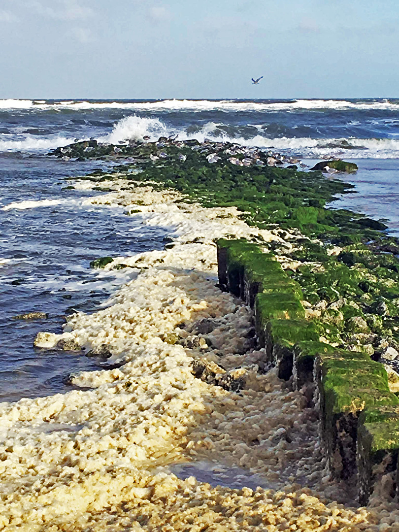 Sommer-Sylt-Westerland