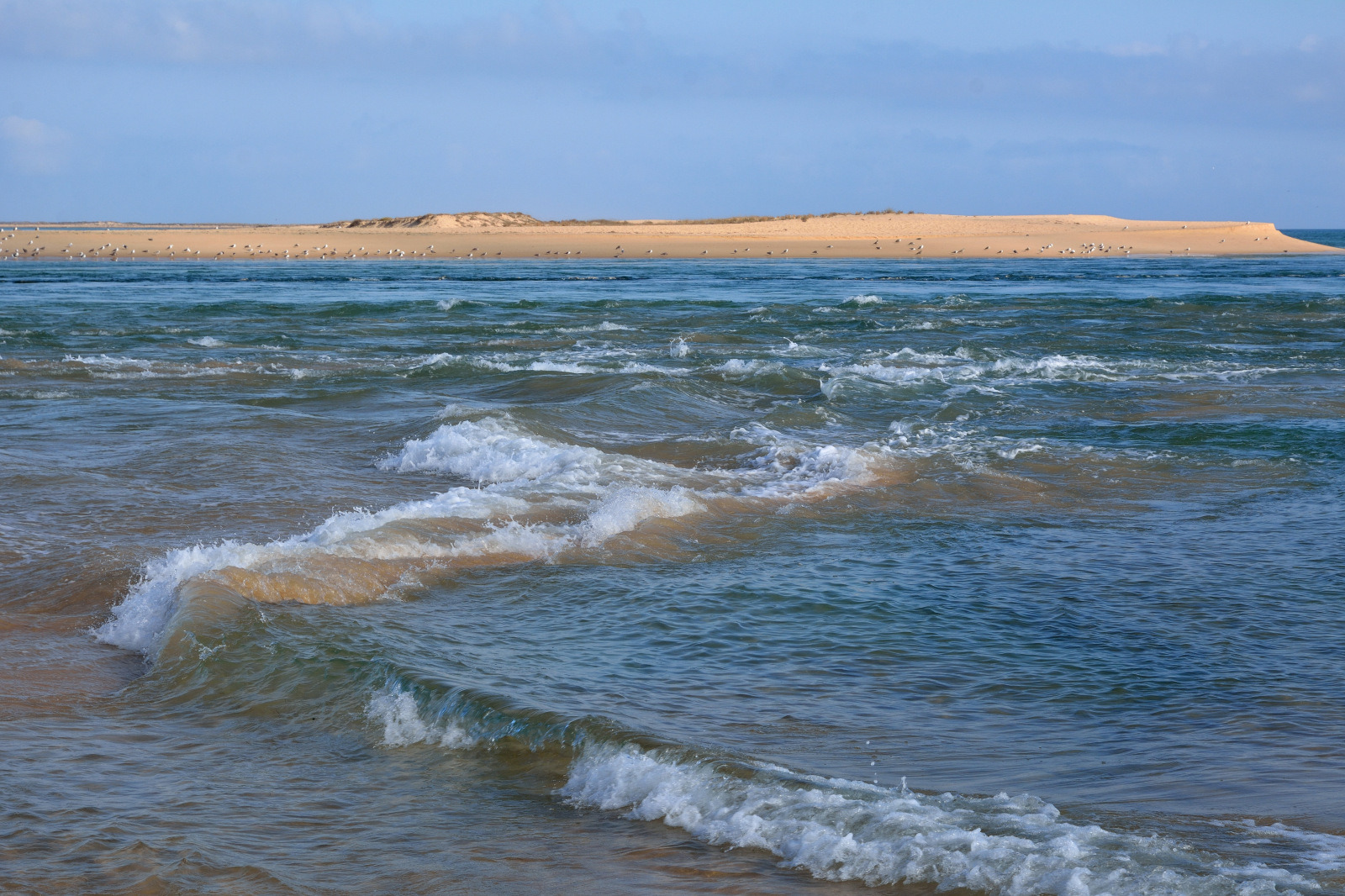 Wilde Wasser
