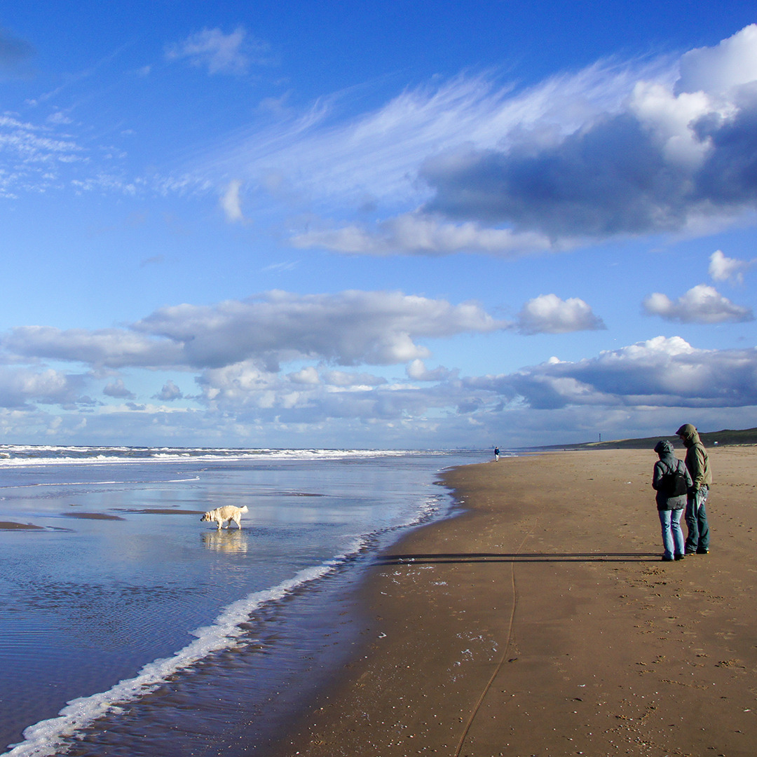 #Meer