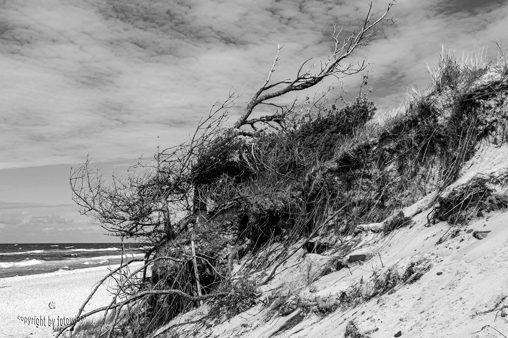 Darß - Prerow - Weststrand