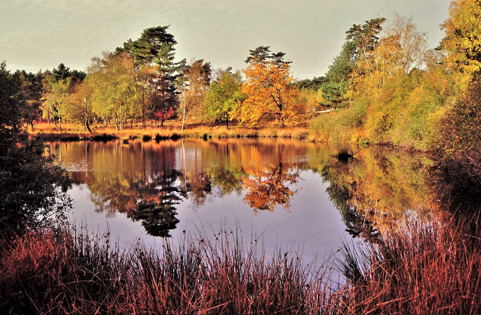 " Herbst im Moor "