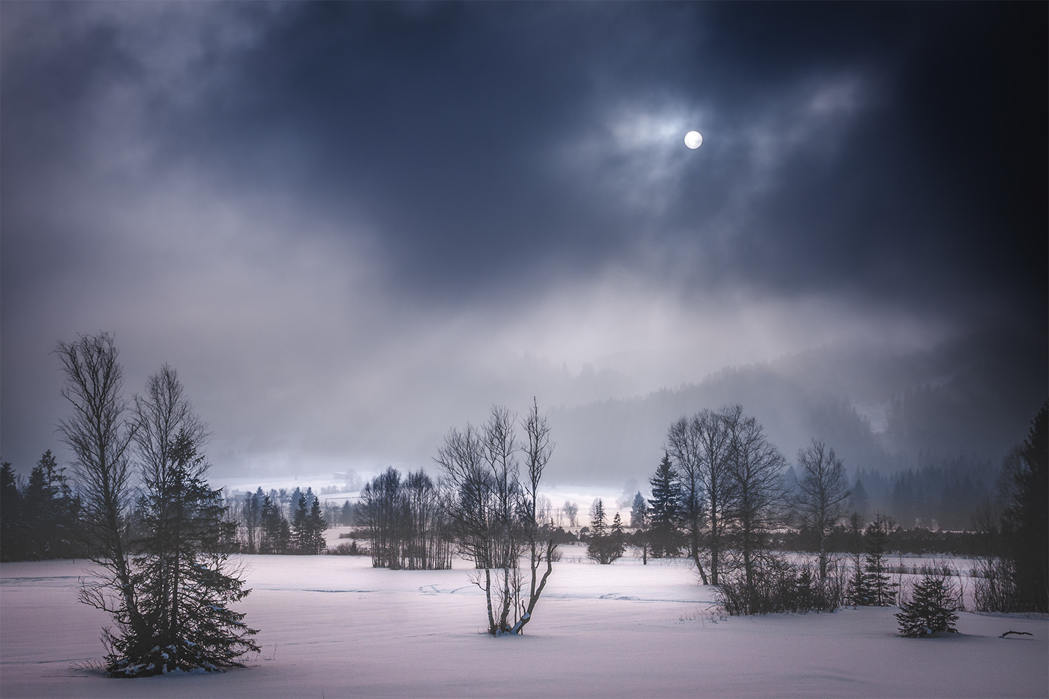 Winter im Moos