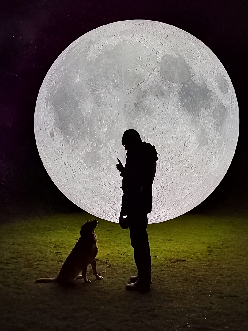 Die Reise zum Mond