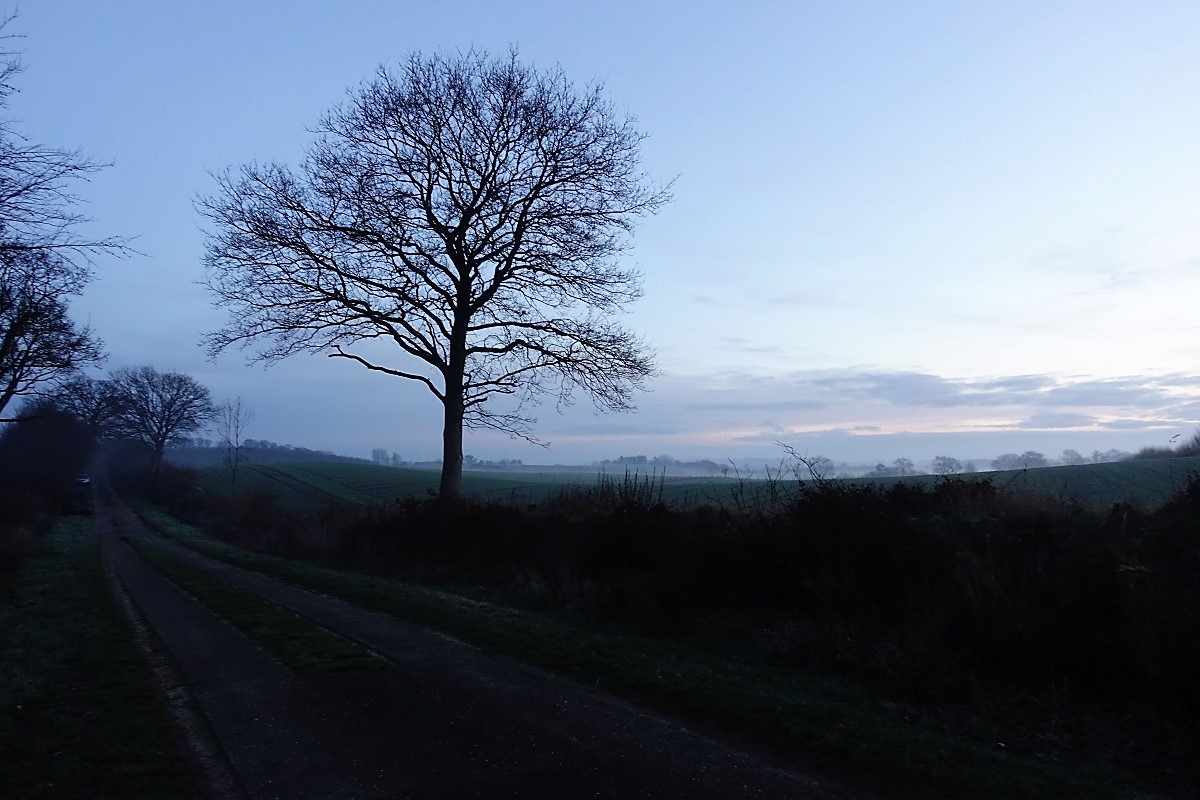 Spaziergang bei Frühnebel
