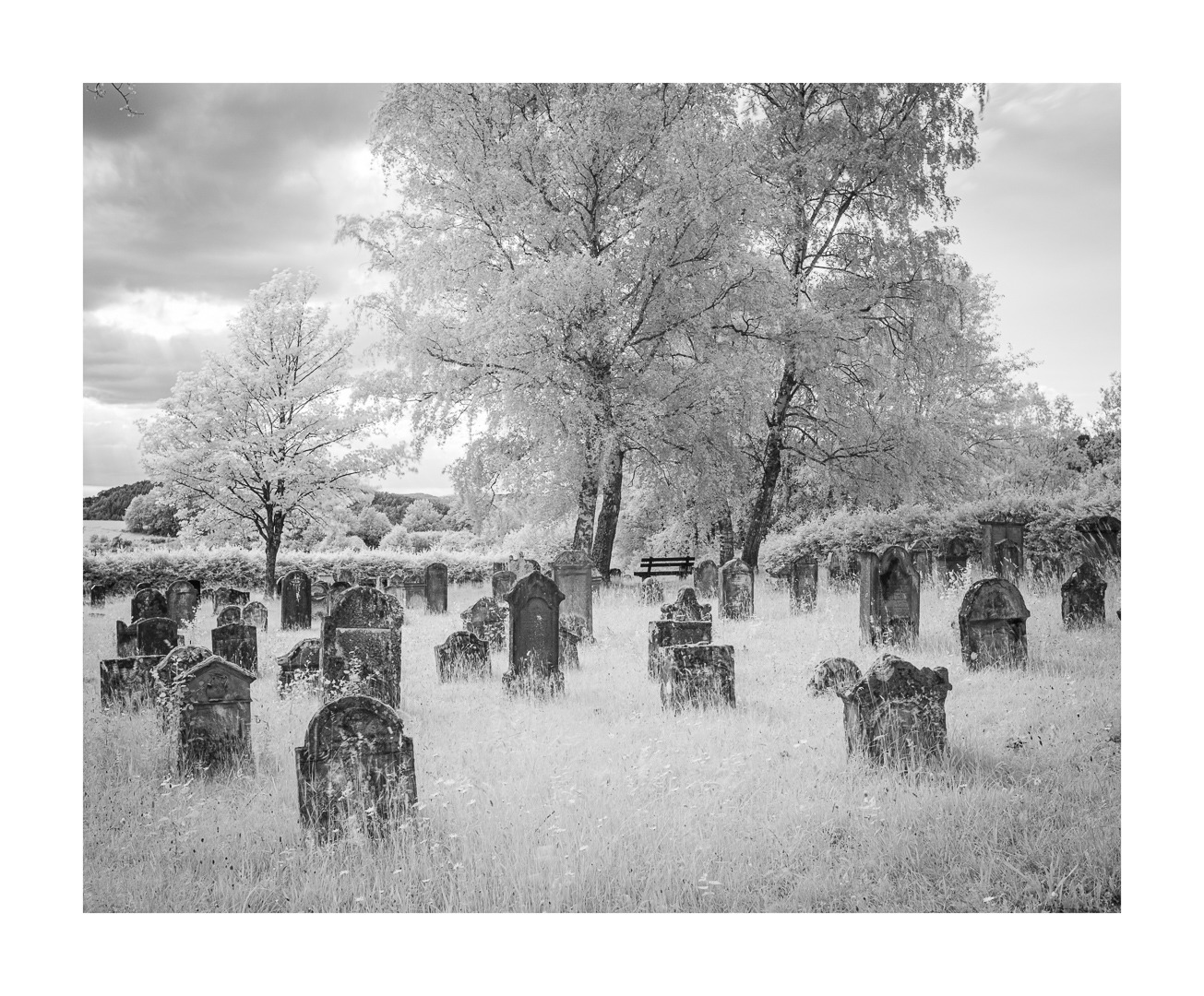 Alter Friedhof - IR