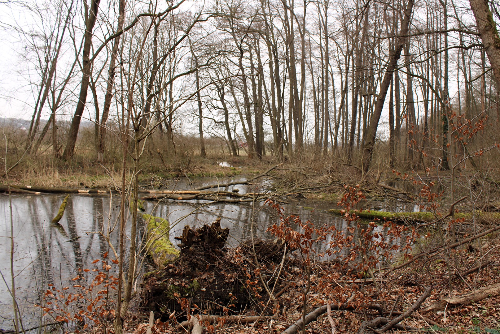 Der kleine Teich an der Klopstockquelle