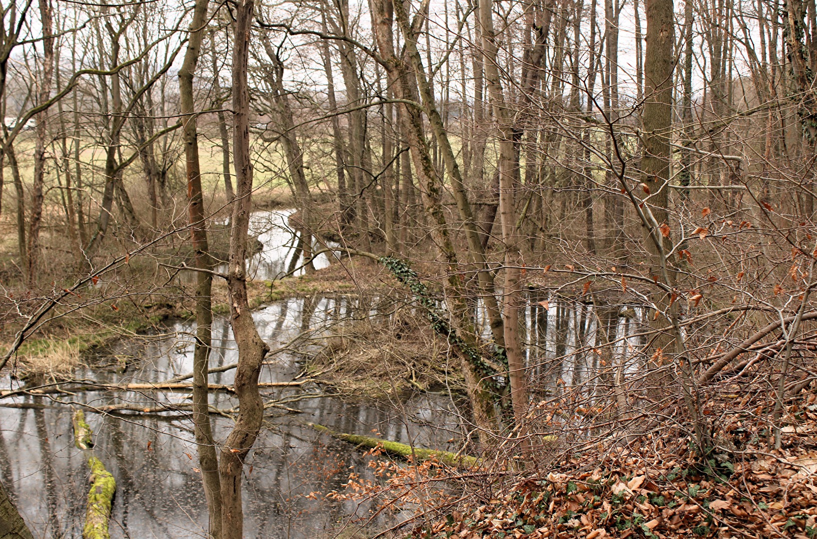 Der Kleine Teich an der Klopstockquelle und die Kleine Saale