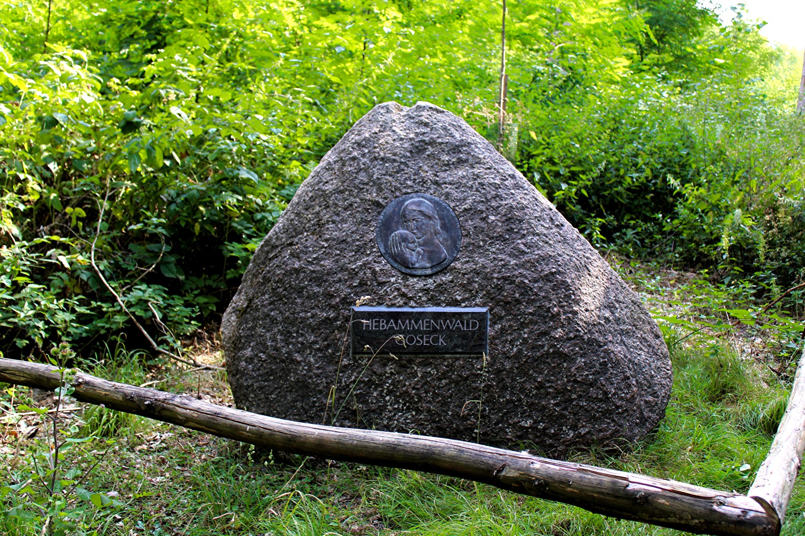 Der Findling im Hebammenwald