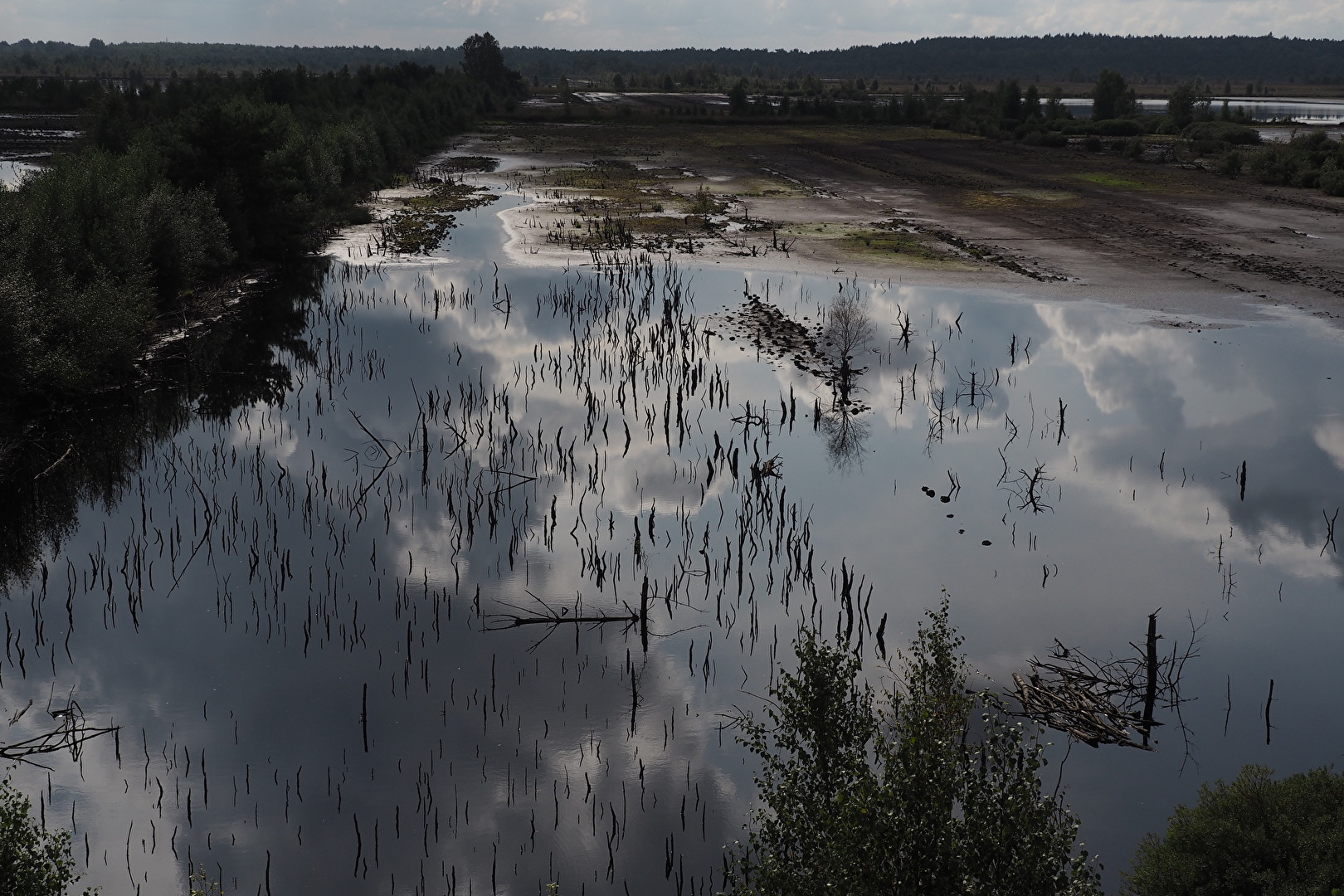 Tilster Bauernmoor