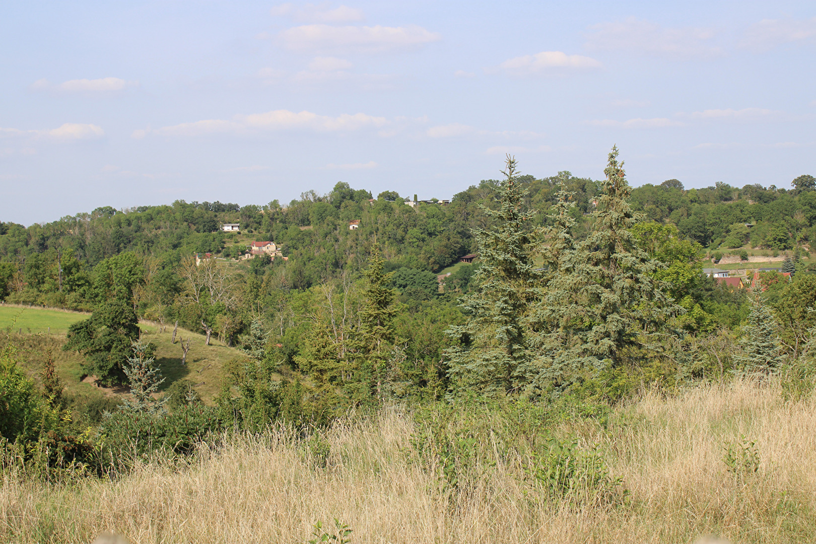Wethau Tal, Kroppental, kleine Aue