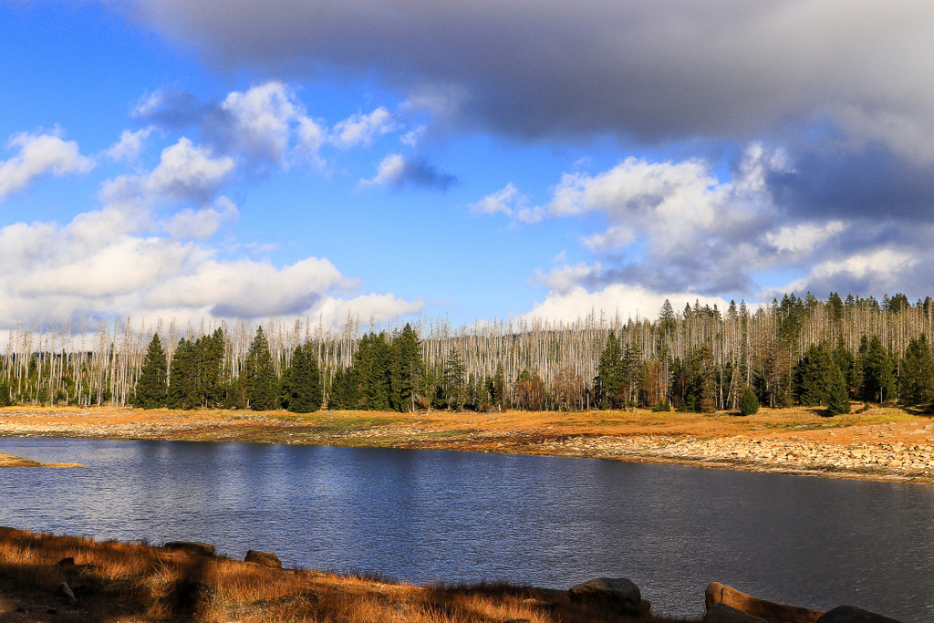 Nationalpark Harz