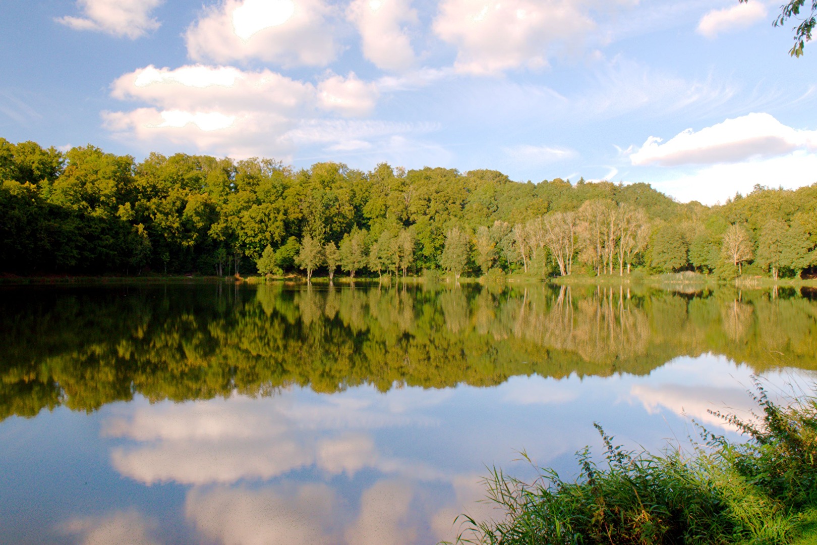 Holzmaar Spätsommer