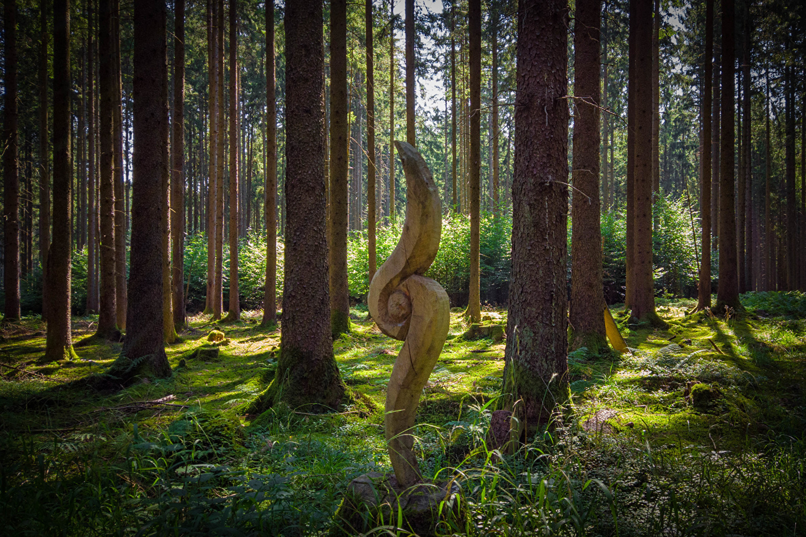 Kunst im Wald