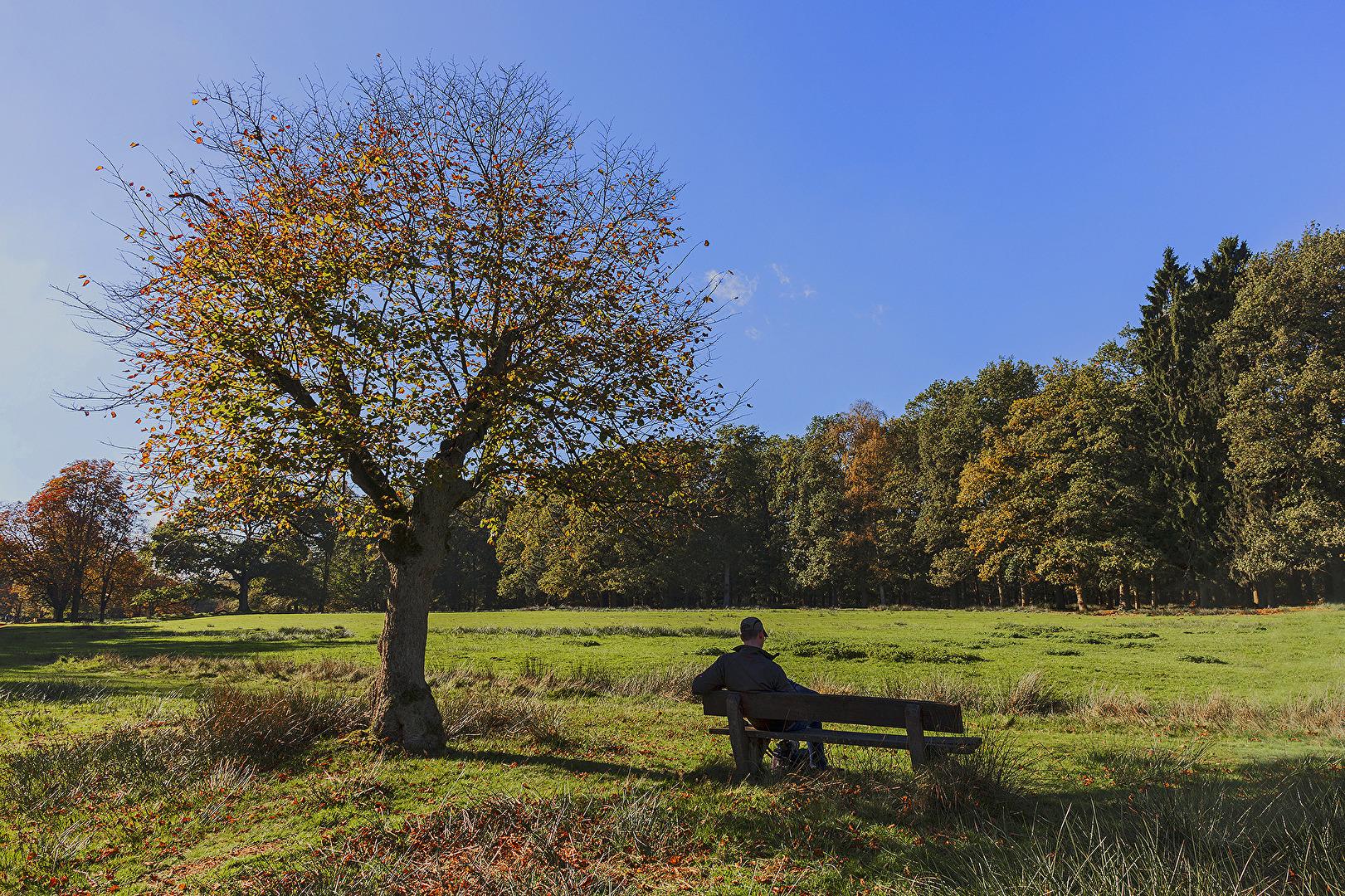 RUHEPLATZ