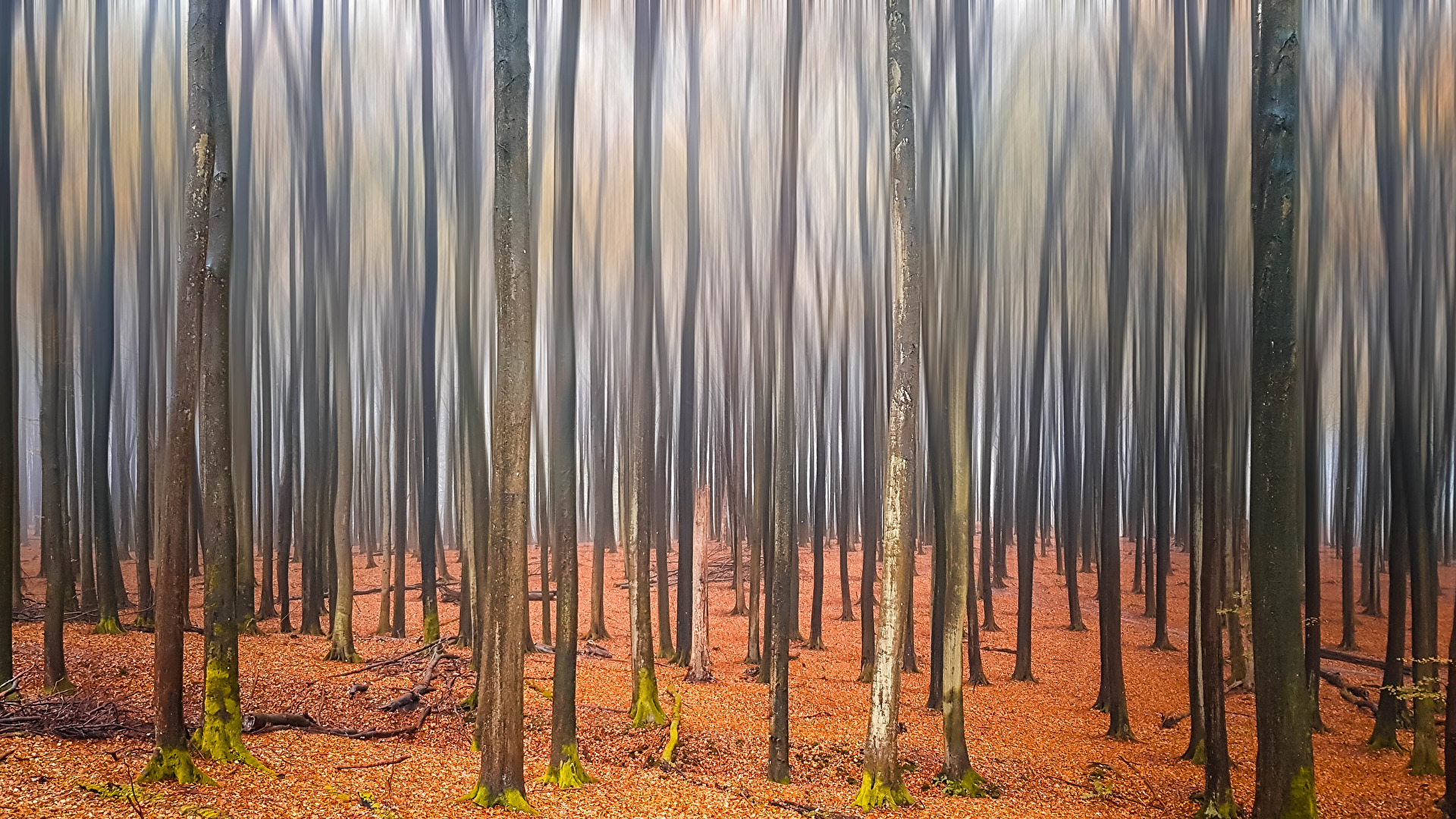 Nationalpark Jasmund auf Rügen