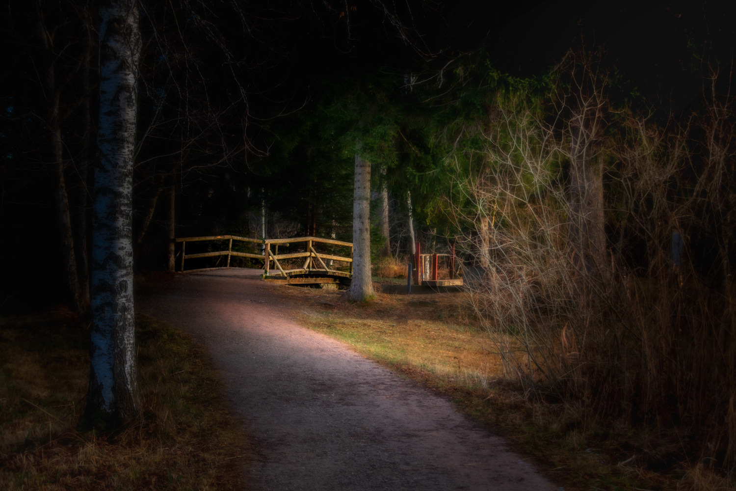 Die kleine Brücke im Wald