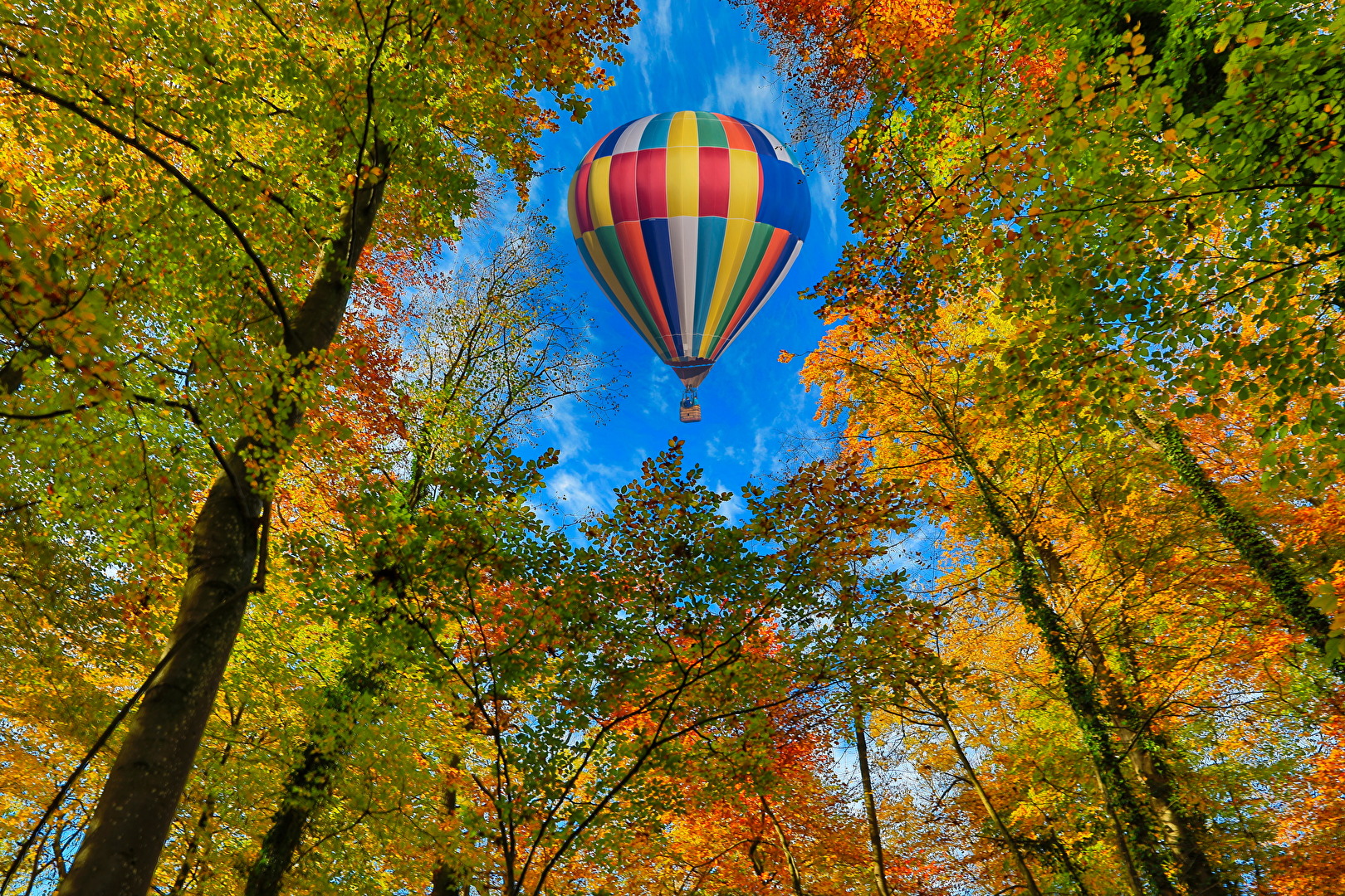 Wald mit Heissluftballon