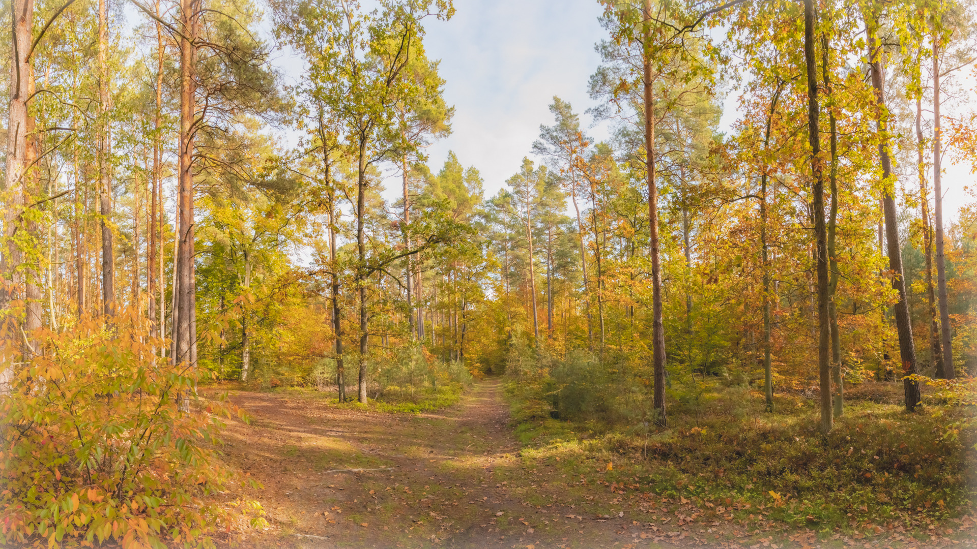 Herbst-Panorama