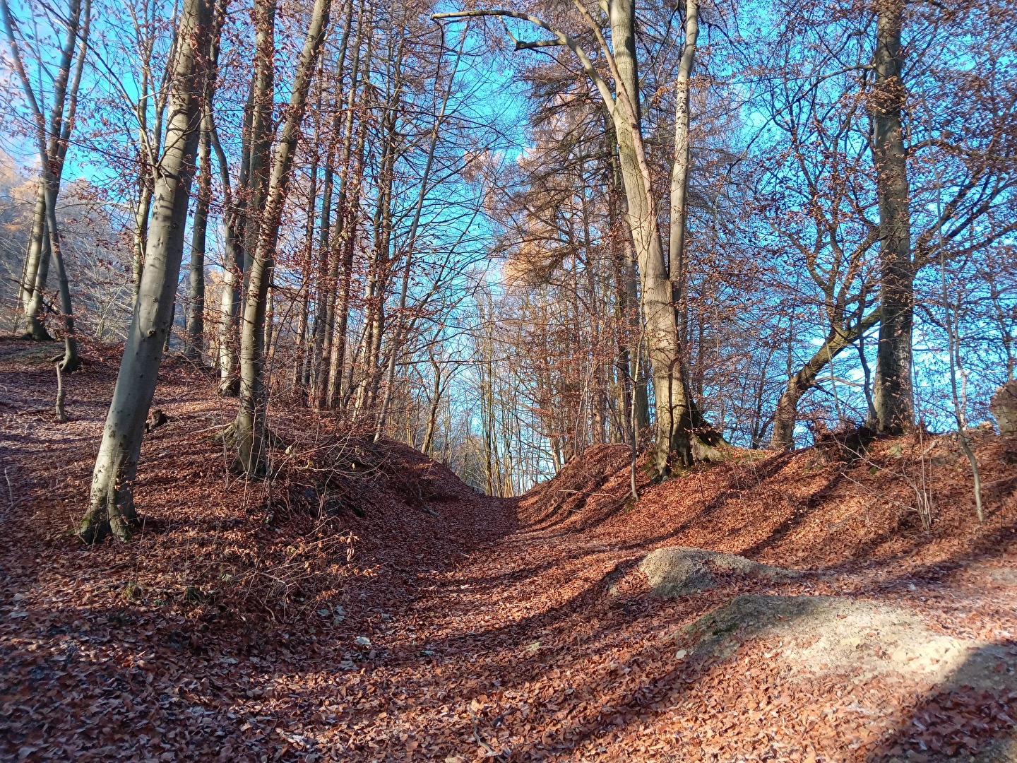 Waldweg