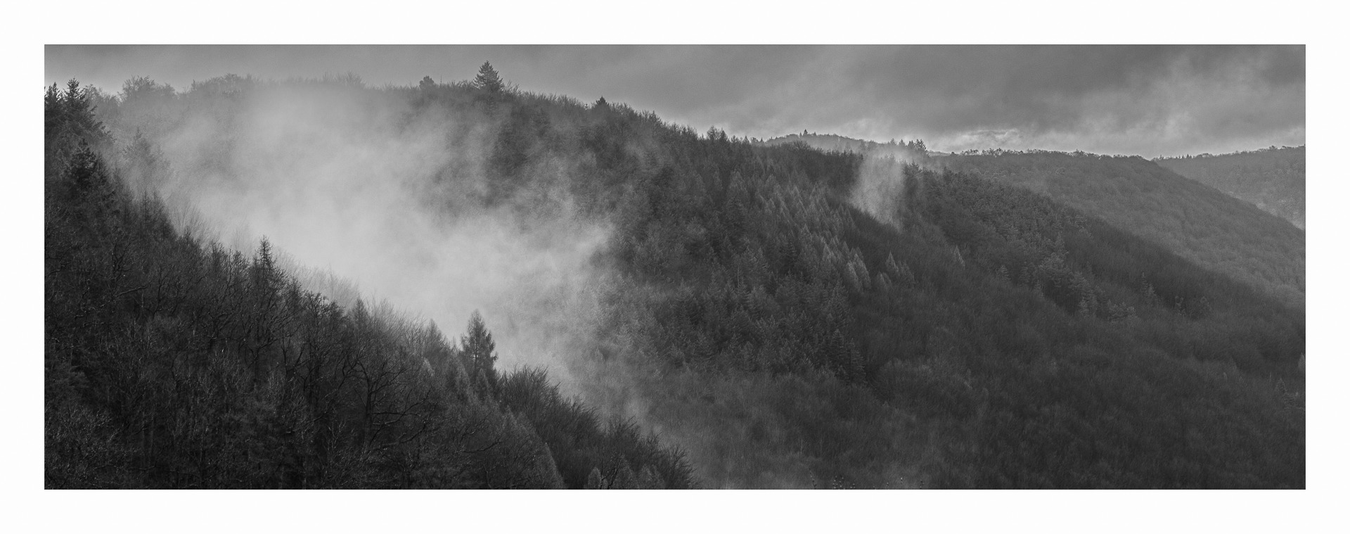 Frühling über dem Pfälzer Wald