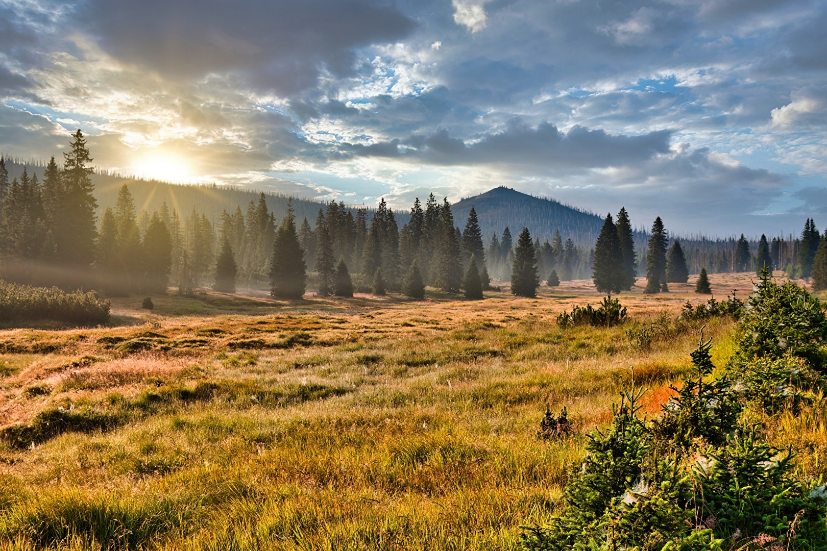 Morgens im Lusenbachtal