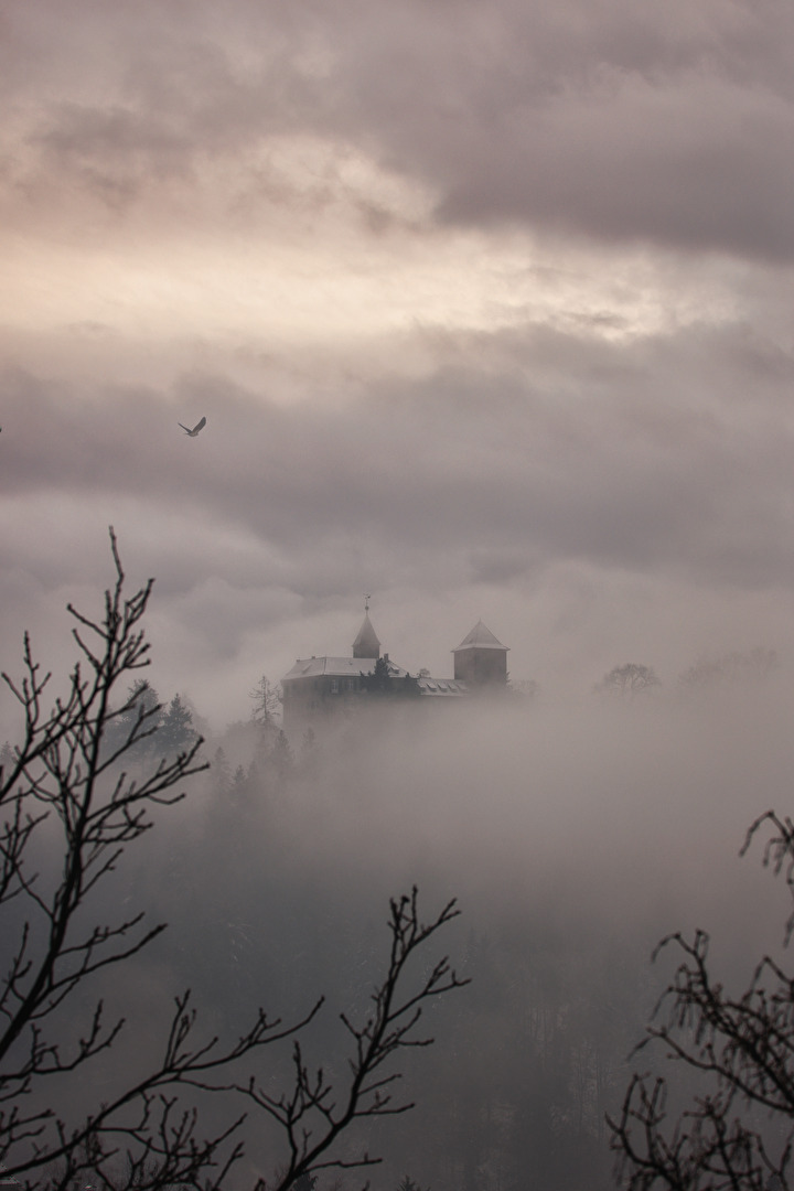 unser Schloss Eberstein im dichten Nebel