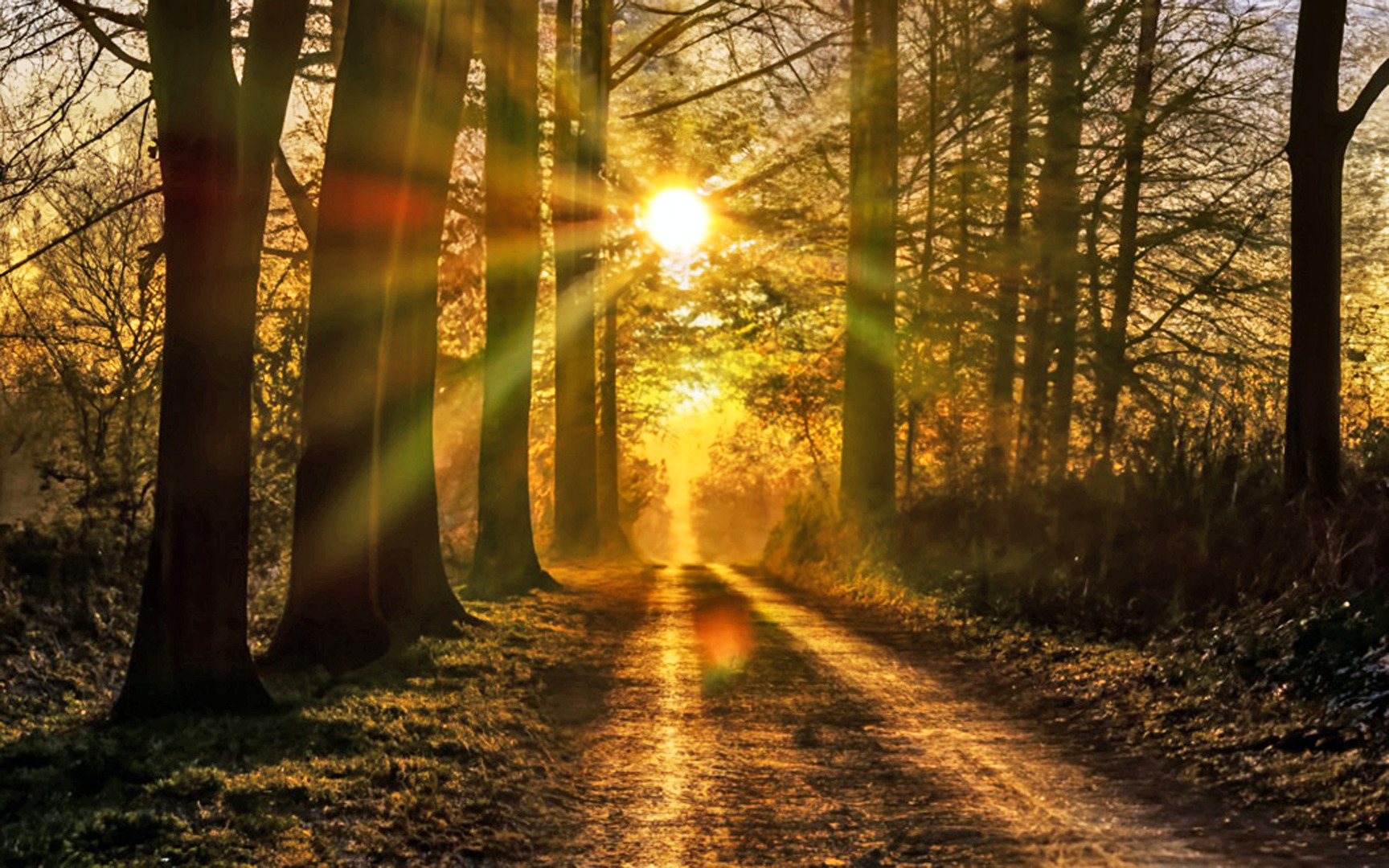 Linsenreflexion   Lichtspiele