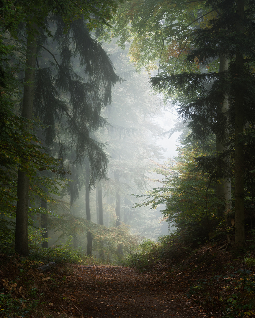 #Wald