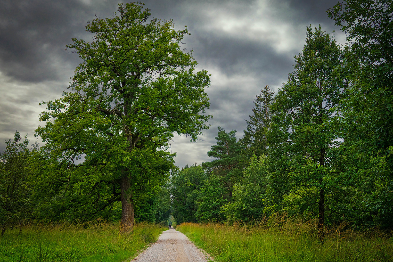 Römerstraße Via Julia