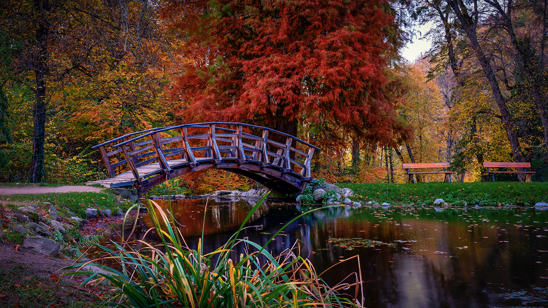 Herbststimmung