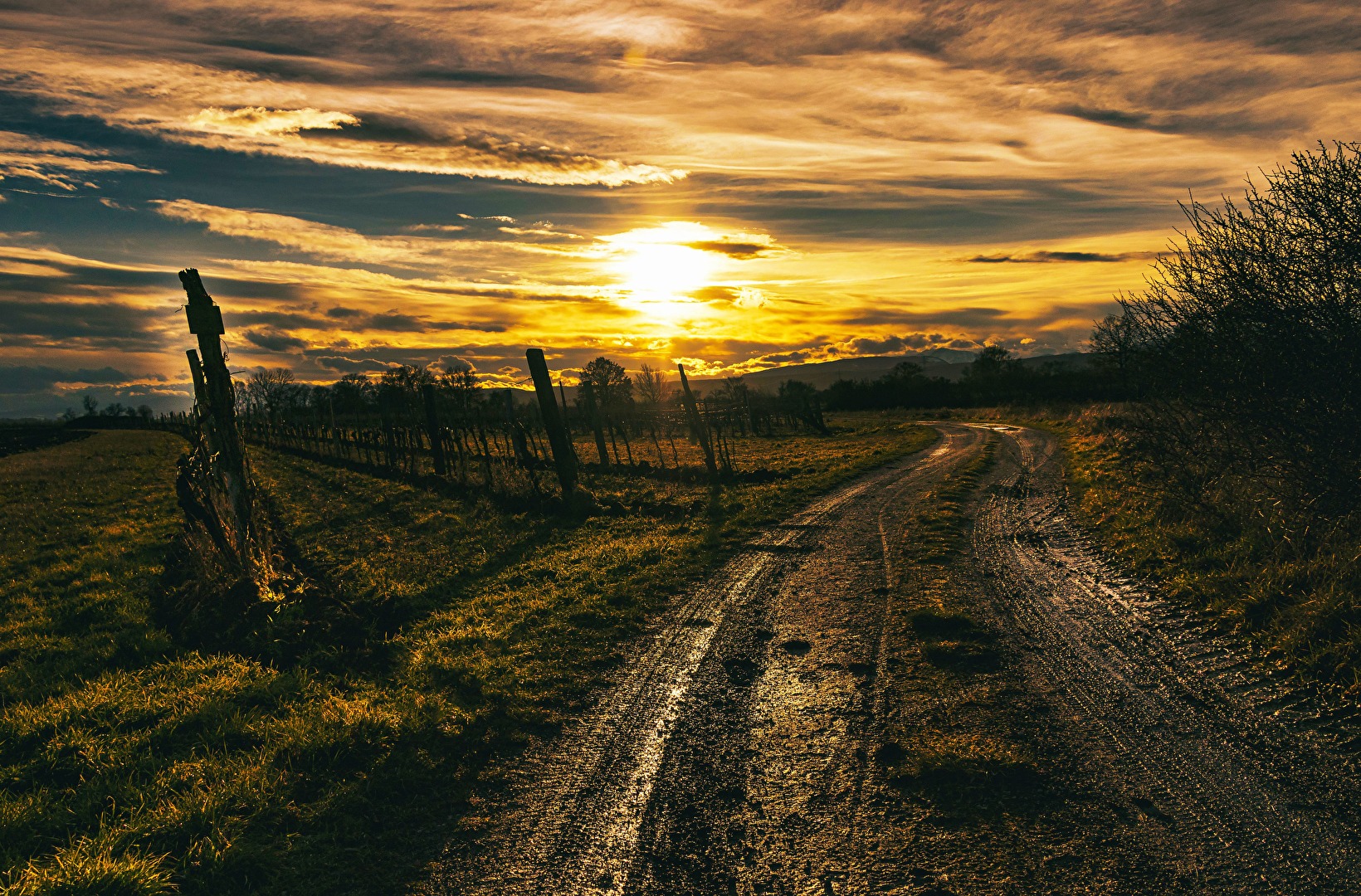 Mystische Weingärten