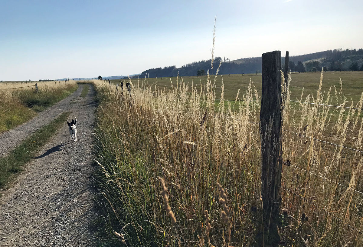 Heute Morgen Unterwegs...