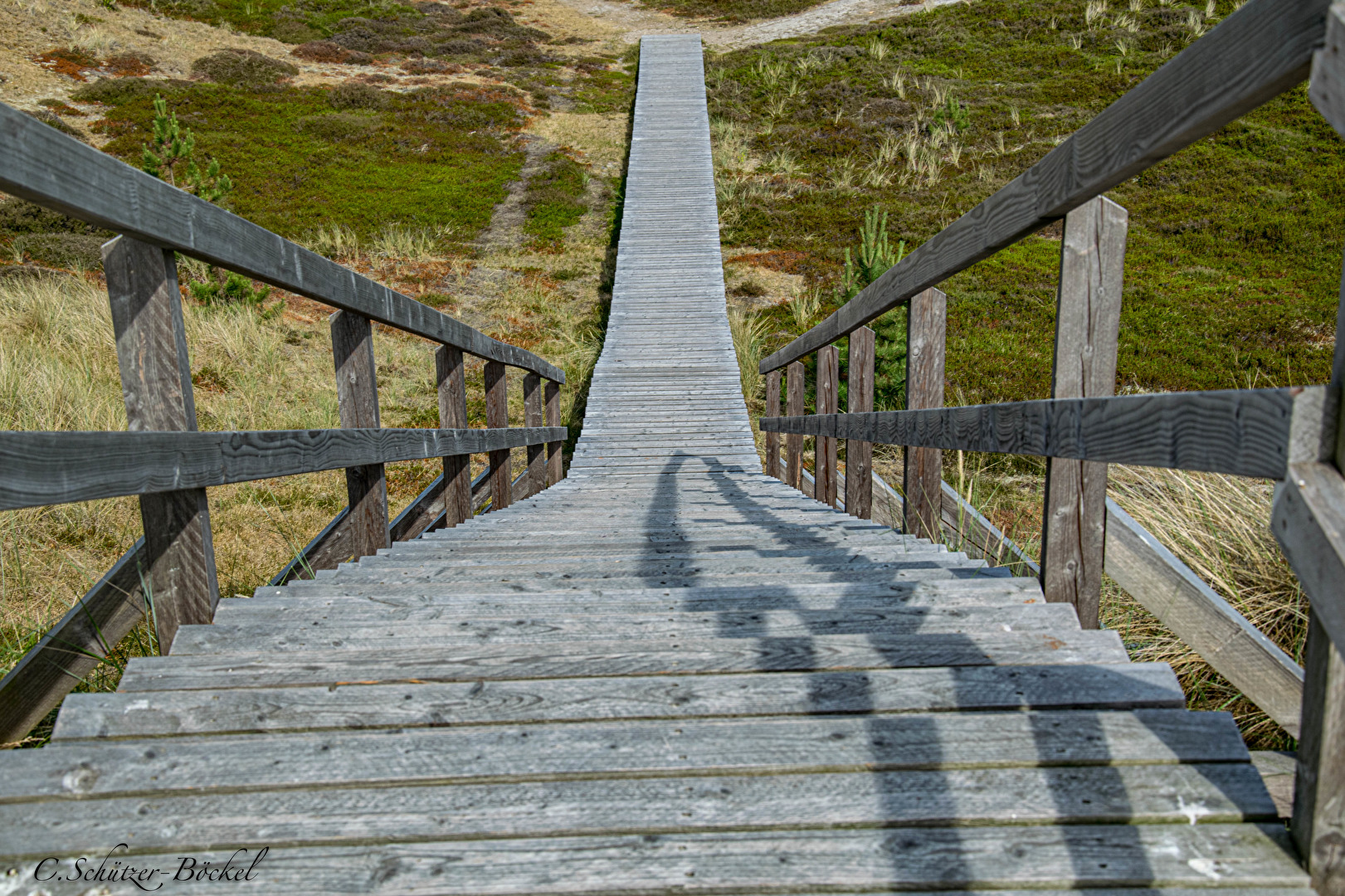 Holzweg in den Dünen / Amrum