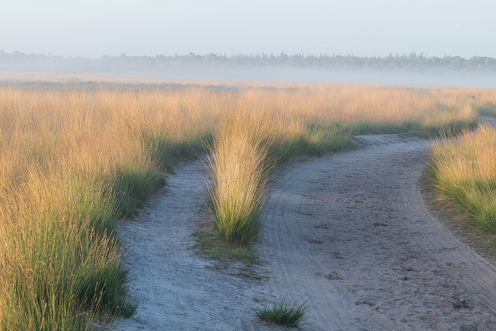 Regte Heide road