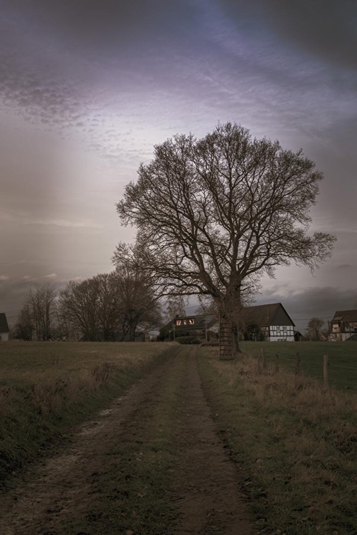 Heimat