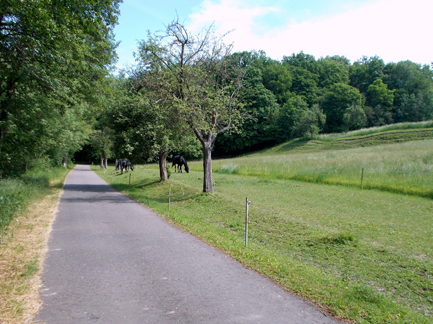 Radwanderweg bei Löbitz