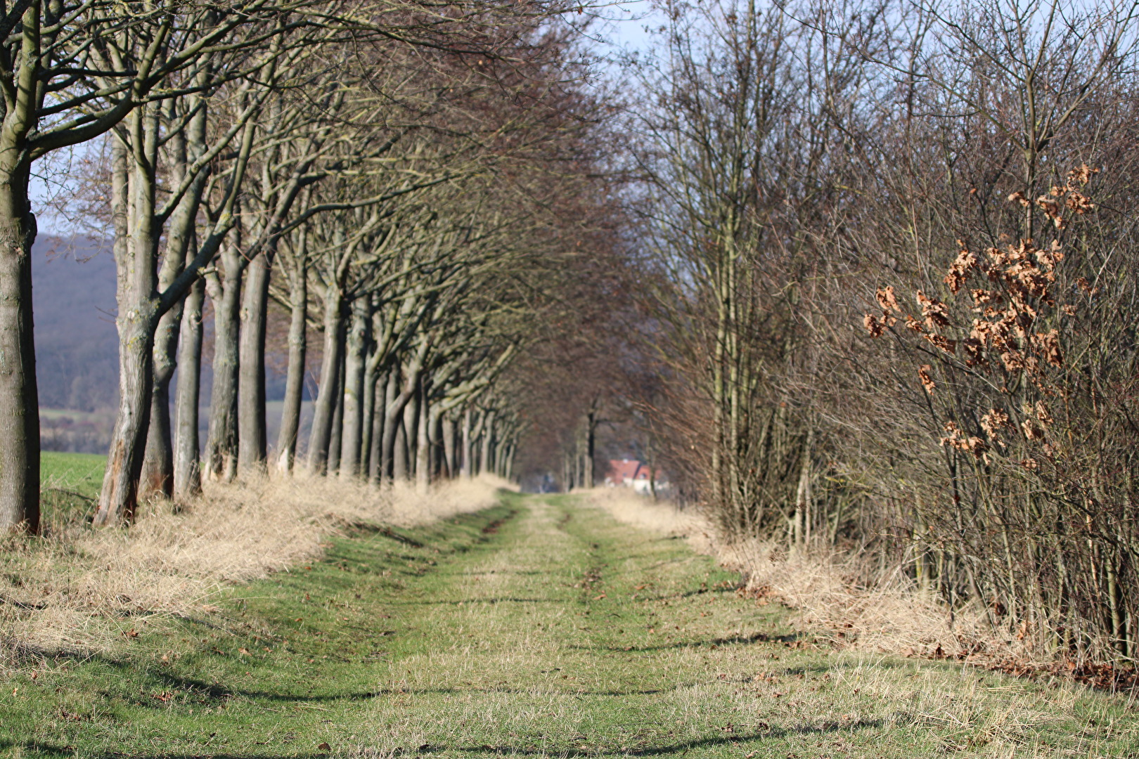 Ein Feldweg