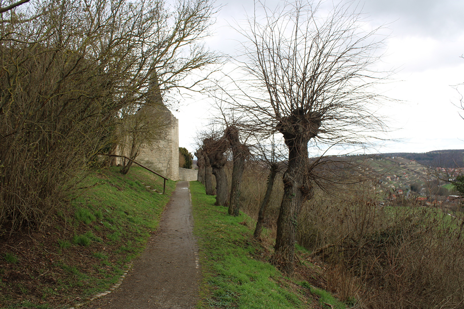Der Weg zum Nonnenturm in Zscheiplitz