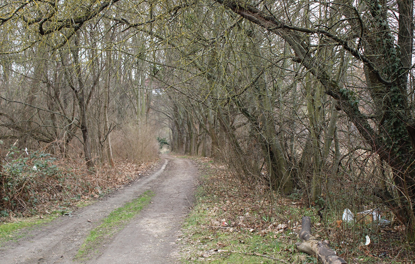 Traurig, aber wahr, auch das sind Wanderwege (2).