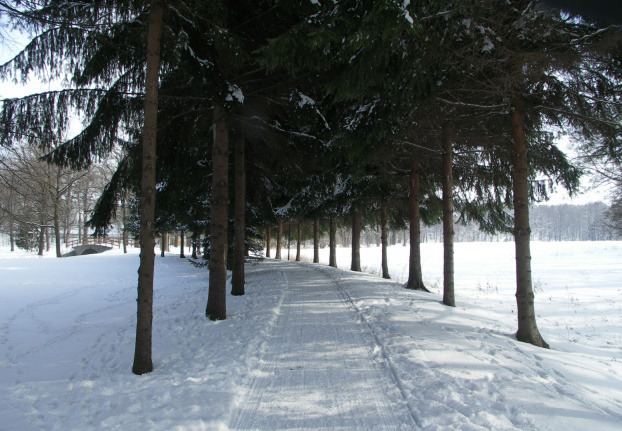 Winterweg