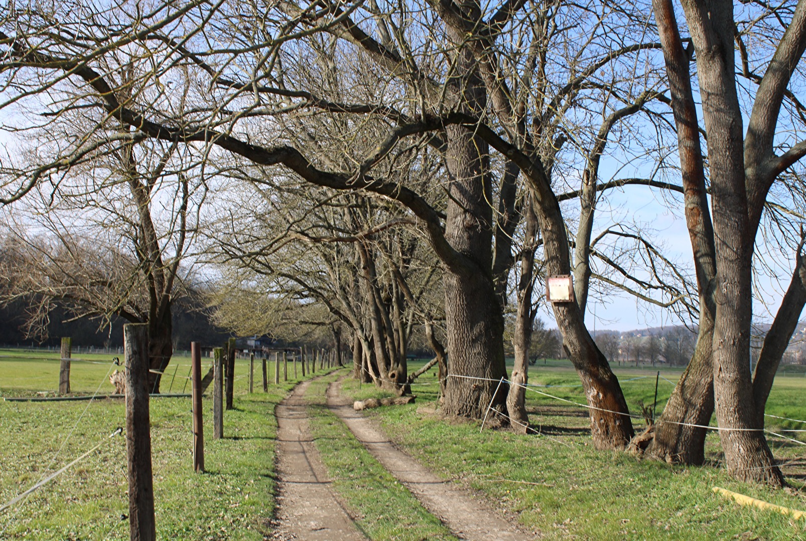 Der Weg zwischen den Pferdekoppeln